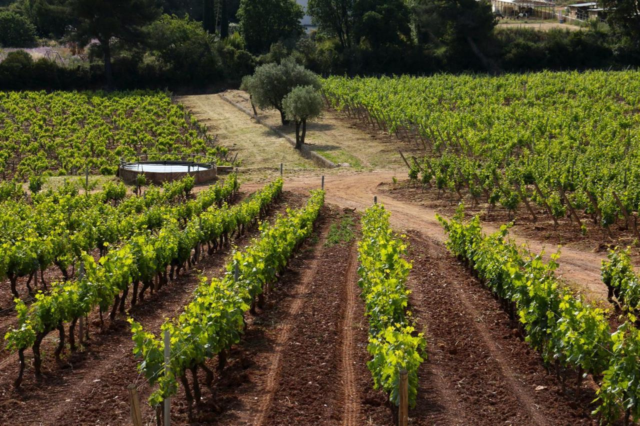 Вилла Domaine De La Navicelle Ле-Праде Экстерьер фото