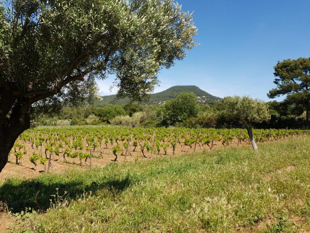 Вилла Domaine De La Navicelle Ле-Праде Экстерьер фото